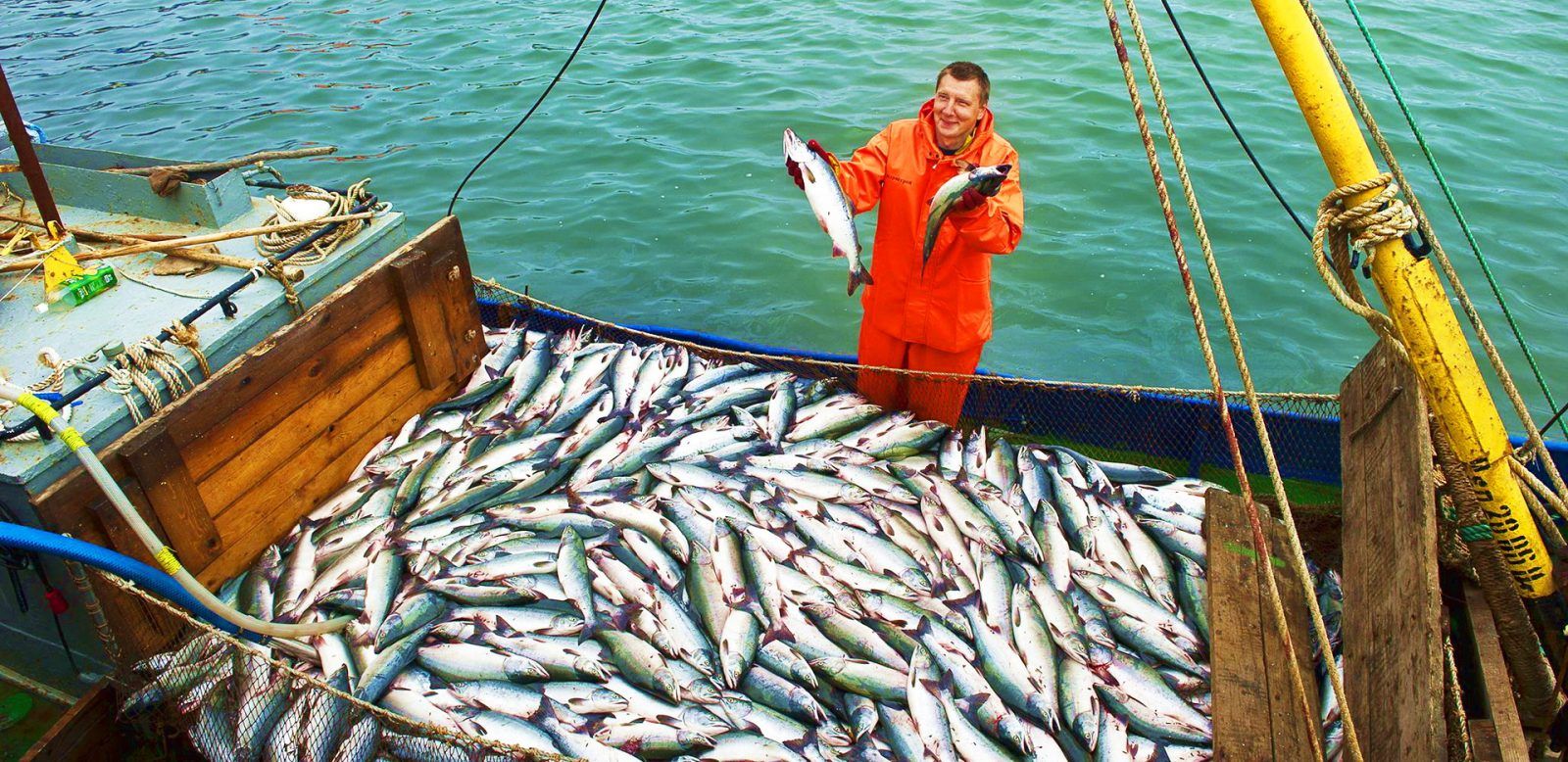 На Сахалин едут не только ради удивительной природы, но, чтобы попробовать и вкуснейшую рыбу. В морях водятся горбуша, кижуч, камбала, кета, минтай, терпуг и многие другие обитатели. Всего почти тысяча различных видов, в том числе семь краснокнижных. Рыболовная промышленность — основа экономики региона.